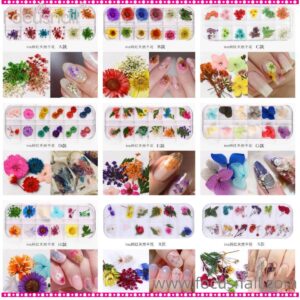 3D Nail Dried Flowers StickerArt & Resin Craft DIY Five Petal Flower Leaf Gypsophila Real Dry Flower Nail Art Decoration Kits