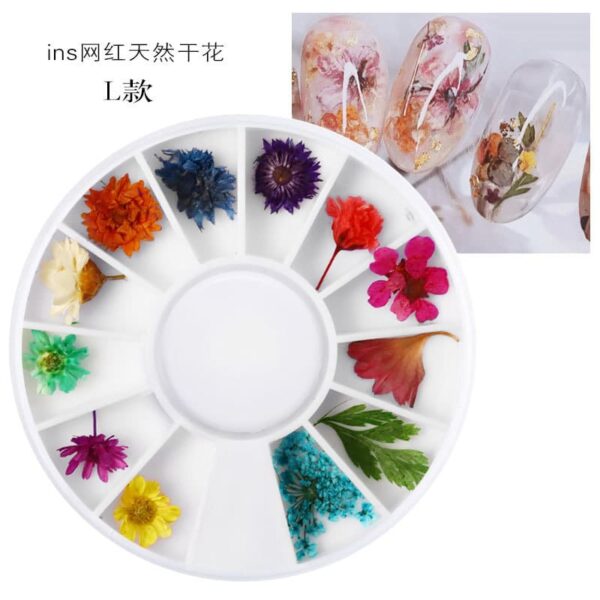 3D Nail Dried Flowers StickerArt & Resin Craft DIY Five Petal Flower Leaf Gypsophila Real Dry Flower Nail Art Decoration Kits - Image 4