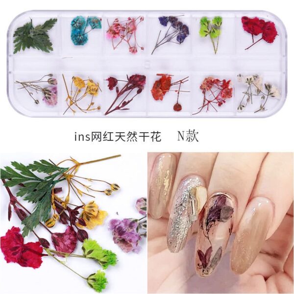 3D Nail Dried Flowers StickerArt & Resin Craft DIY Five Petal Flower Leaf Gypsophila Real Dry Flower Nail Art Decoration Kits - Image 3
