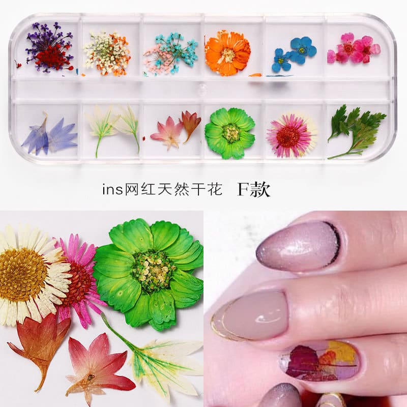 3D Nail Dried Flowers StickerArt & Resin Craft DIY Five Petal Flower Leaf Gypsophila Real Dry Flower Nail Art Decoration Kits - Image 2